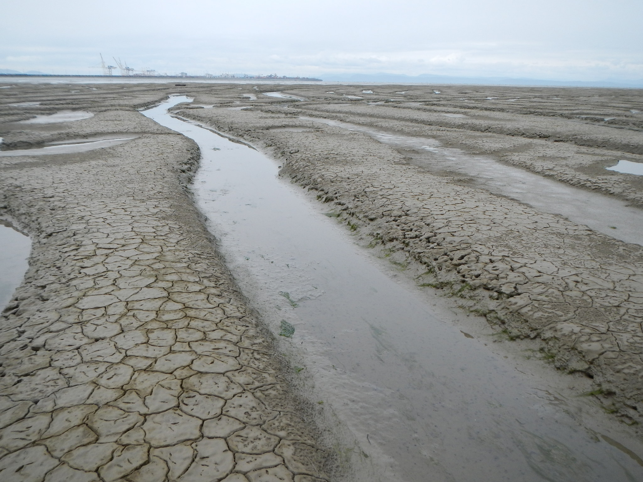 Roberts Bank Coastal Geomorphology Assessment Northwest Hydraulic